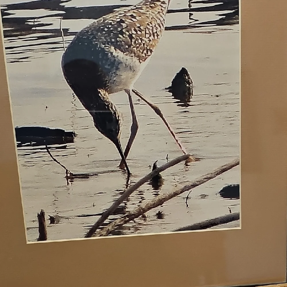 Pair Of Framed Wildlife Art Prints - Deer And Crane.